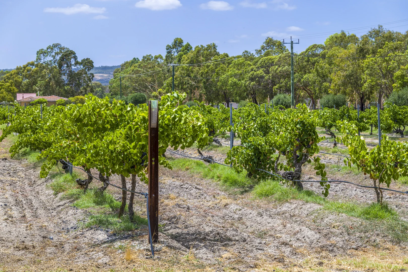 Additional image 28 of 301 Padbury Avenue, Millendon WA 6056