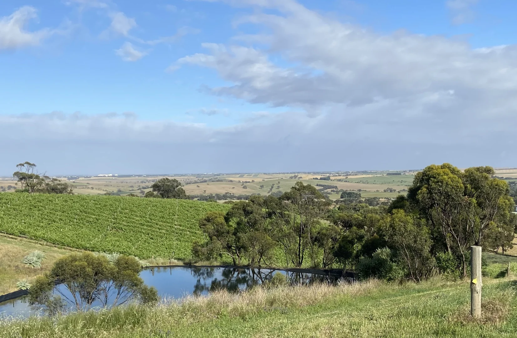 Additional image 16 of 296 Rosedale Scenic Road, Lyndoch SA 5351