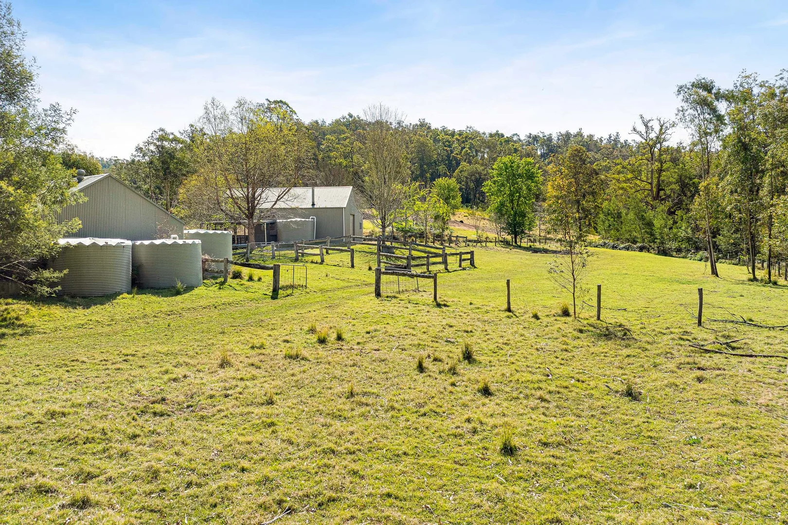 Additional image 4 of 1643 Araluen Road, Deua River Valley NSW 2537