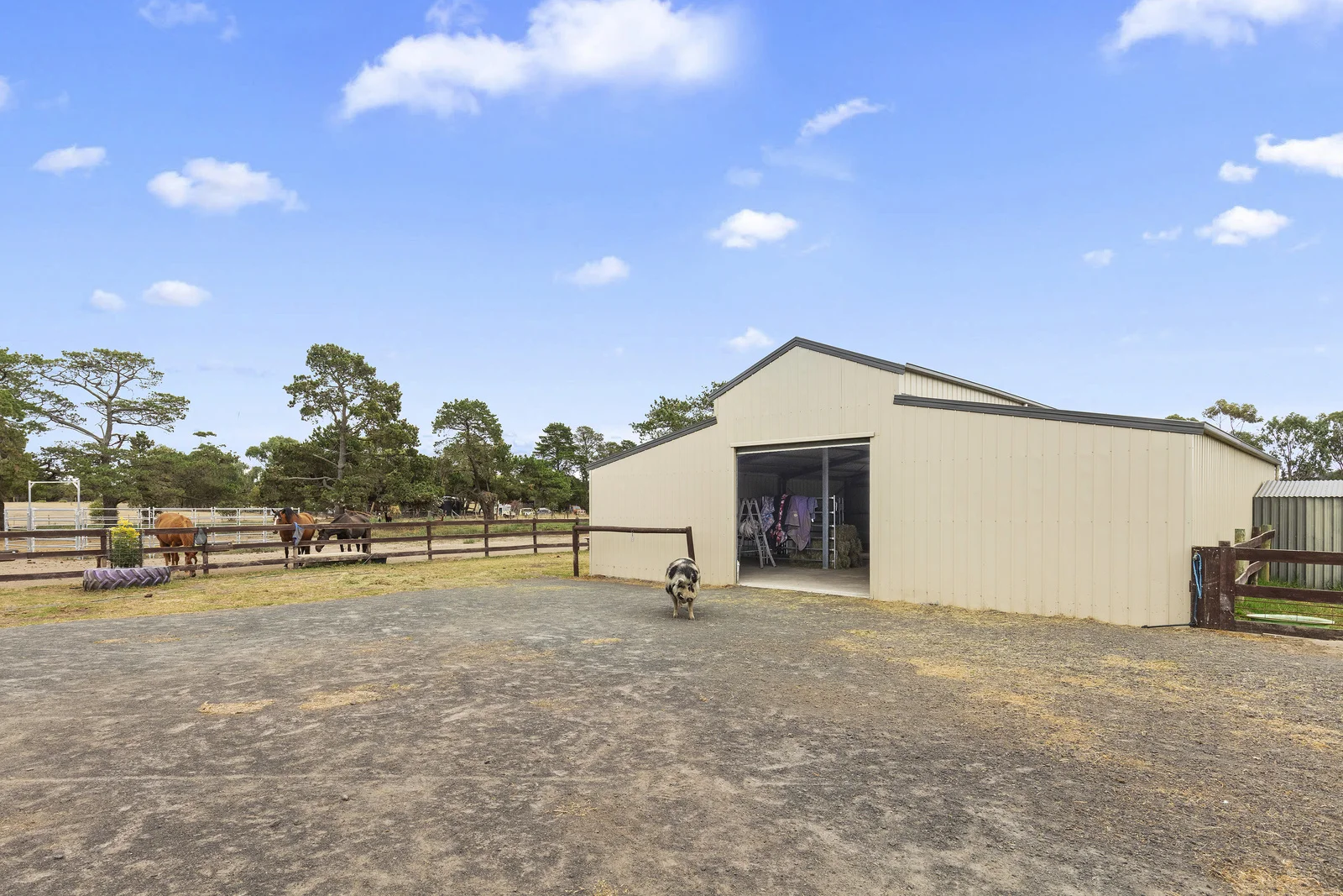 Additional image 16 of 3102 Hamilton Highway, Inverleigh VIC 3321