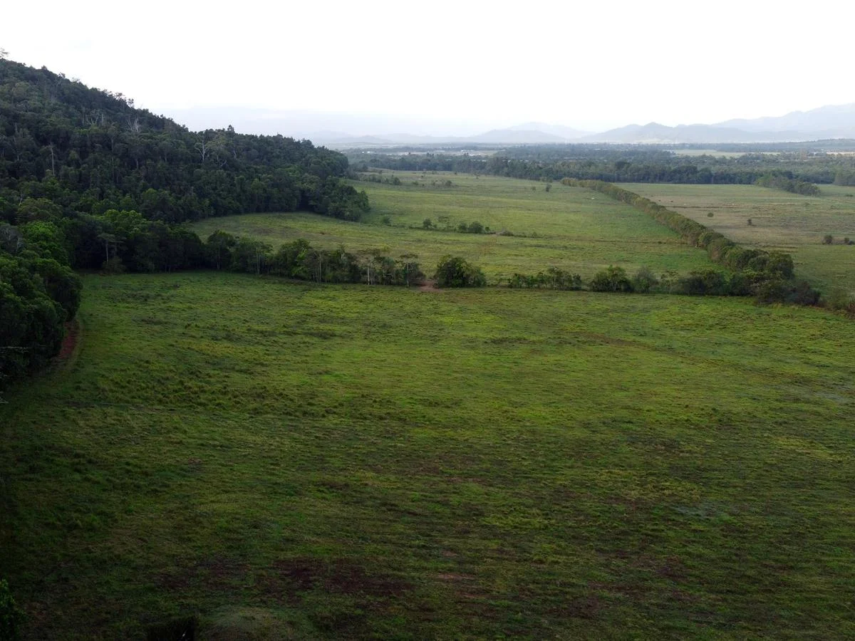 Additional image 25 of 000 Poppi Road, Cowley QLD 4871