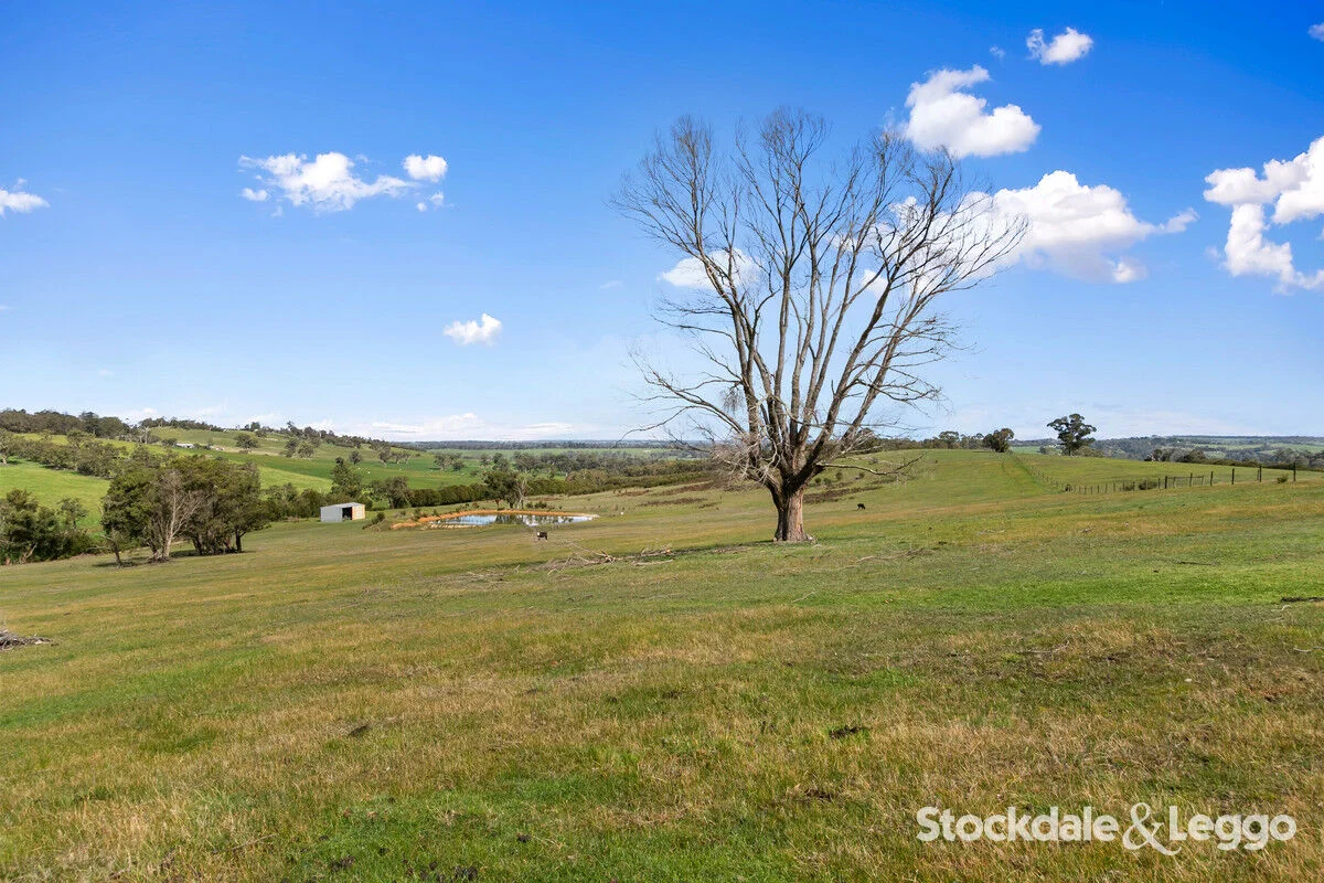 Additional image 26 of 175 Early Road, Tanjil South VIC 3825