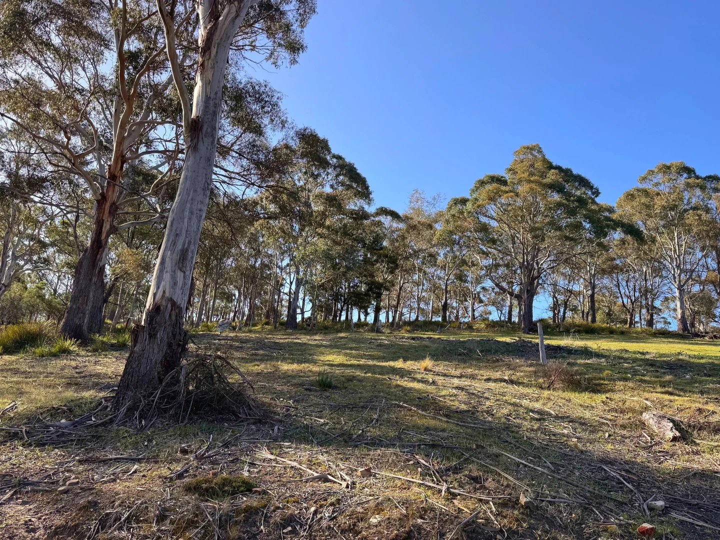 Additional image 7 of 26 Kandara Court, Campania TAS 7026