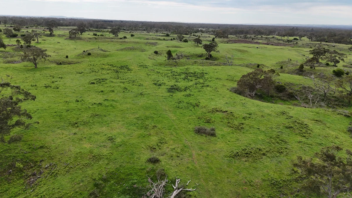 Additional image 18 of 250 Scoullers Road, Stonyford VIC 3260