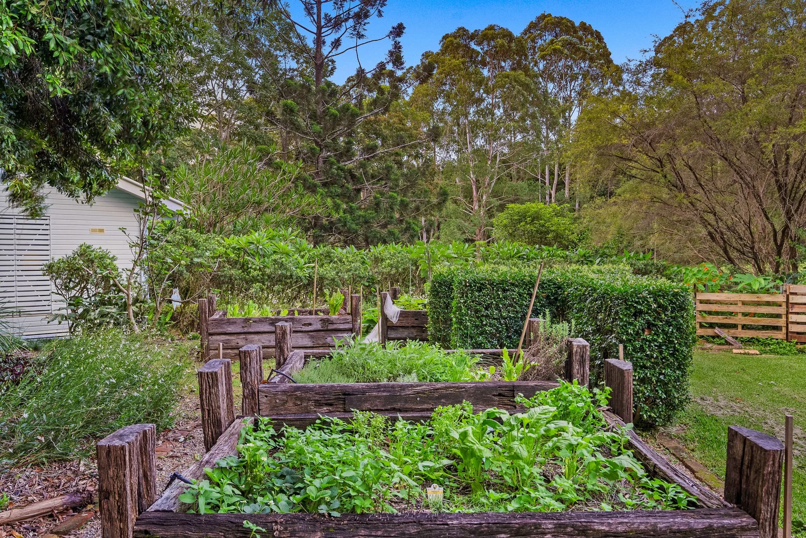 Additional image 26 of 711 Federal Drive, Federal NSW 2480