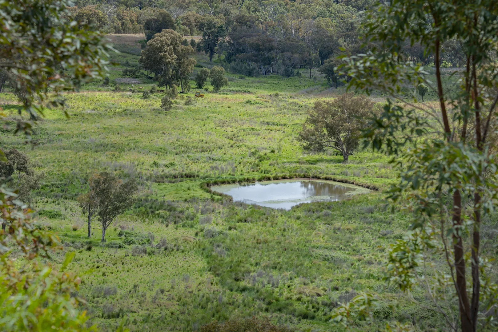 Additional image 15 of 1124 WARKTON ROAD, Coonabarabran NSW 2357