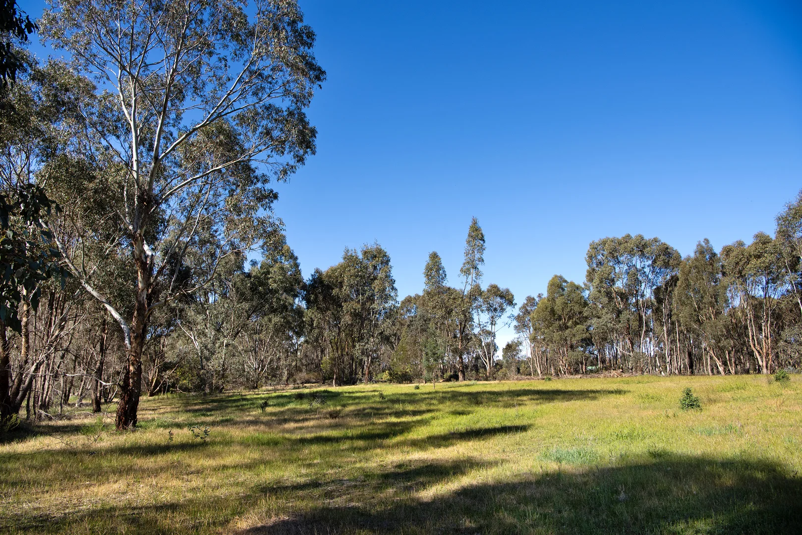 Additional image 4 of 686 Maldon-Newstead Road, Welshmans Reef VIC 3462
