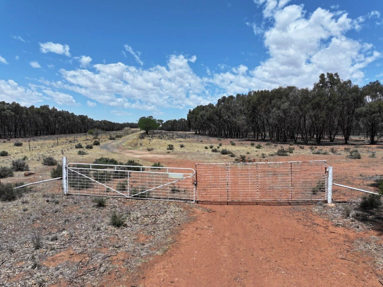 Additional image 12 of 'Corio' 343 Lees Lane, Alleena NSW 2671