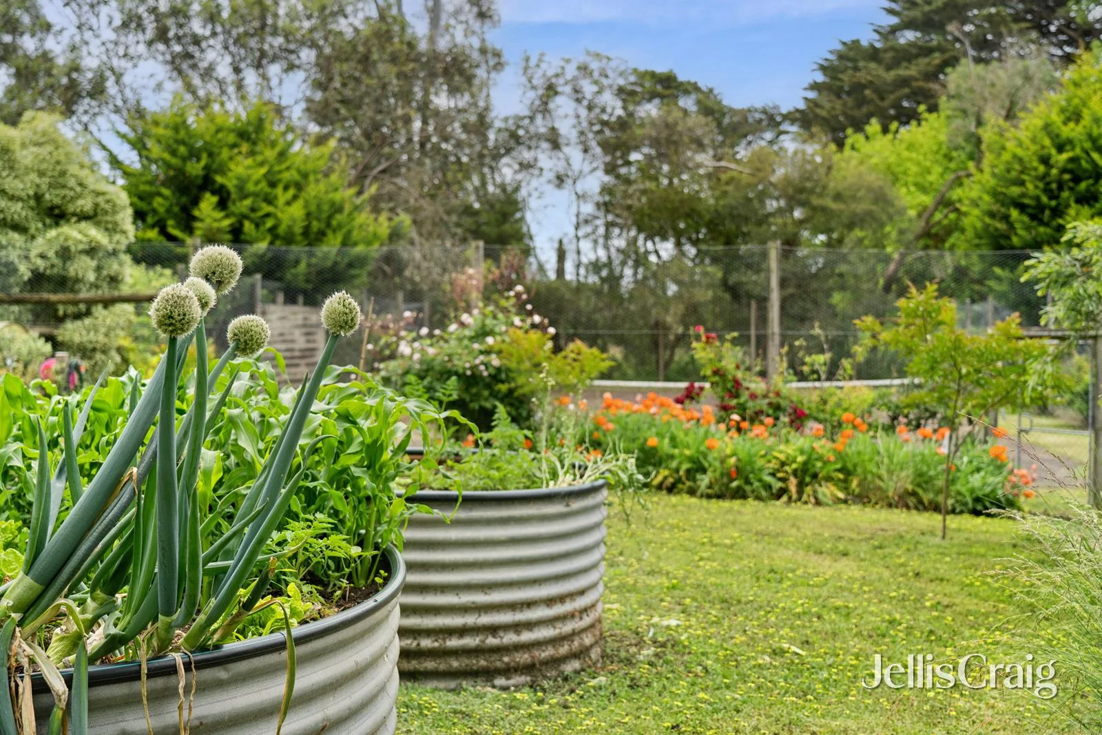 Additional image 30 of 13 Yendon Egerton Road, Yendon VIC 3352