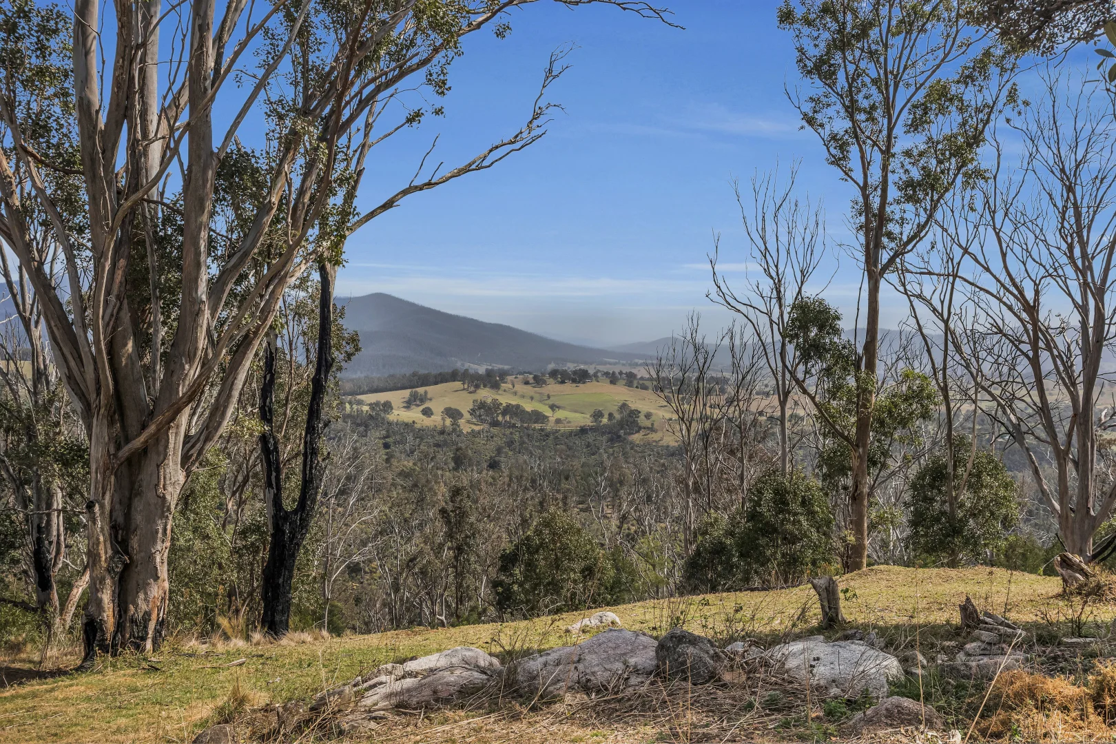 Additional image 8 of 603 County Boundary Road, Cobargo NSW 2550