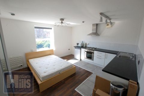 London Road, Sheffield, South Yorkshire S2, Studio to rent