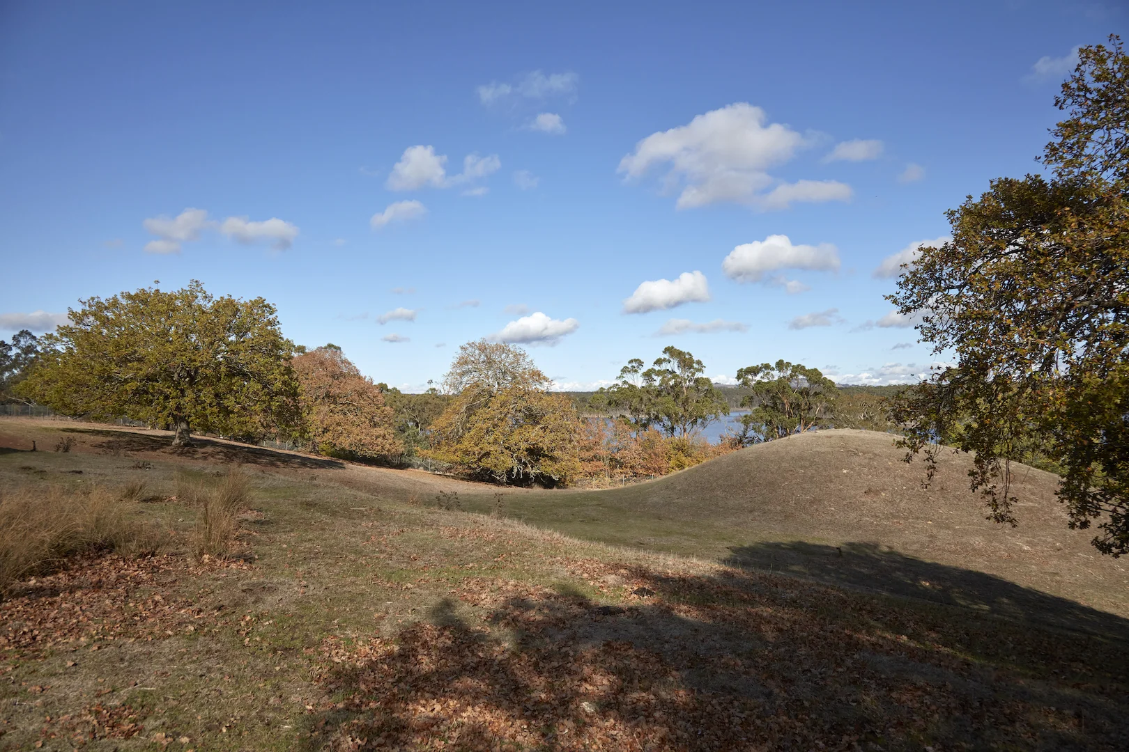 Additional image 9 of 233 Ross Watt Road, Gisborne VIC 3437