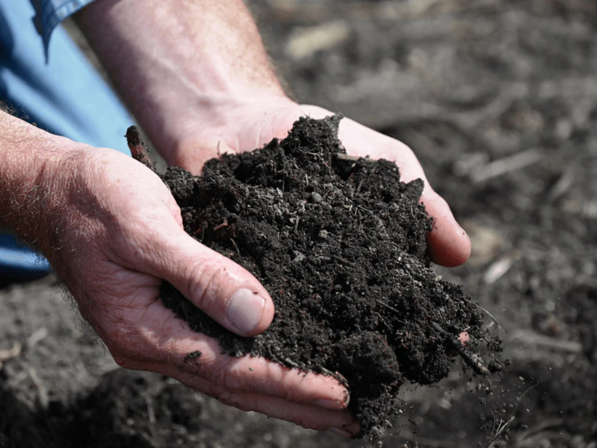 Additional image 5 of 360 Bungawalbin Whiporie Road, Bungawalbin NSW 2469