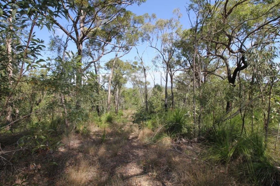 Additional image 35 of 492 Capricornia Drive, Deepwater QLD 4674