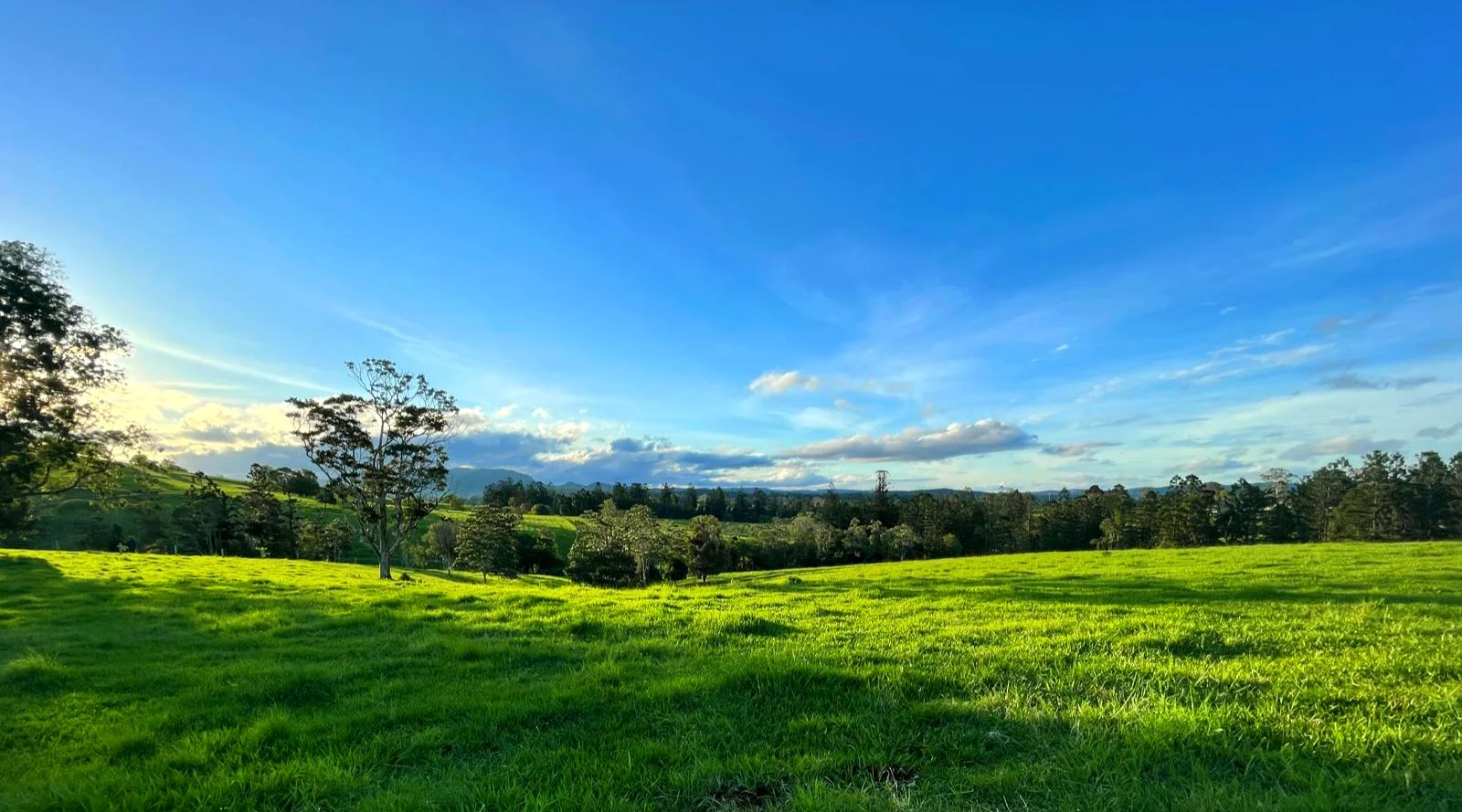 Additional image 6 of Pie Creek QLD 4570