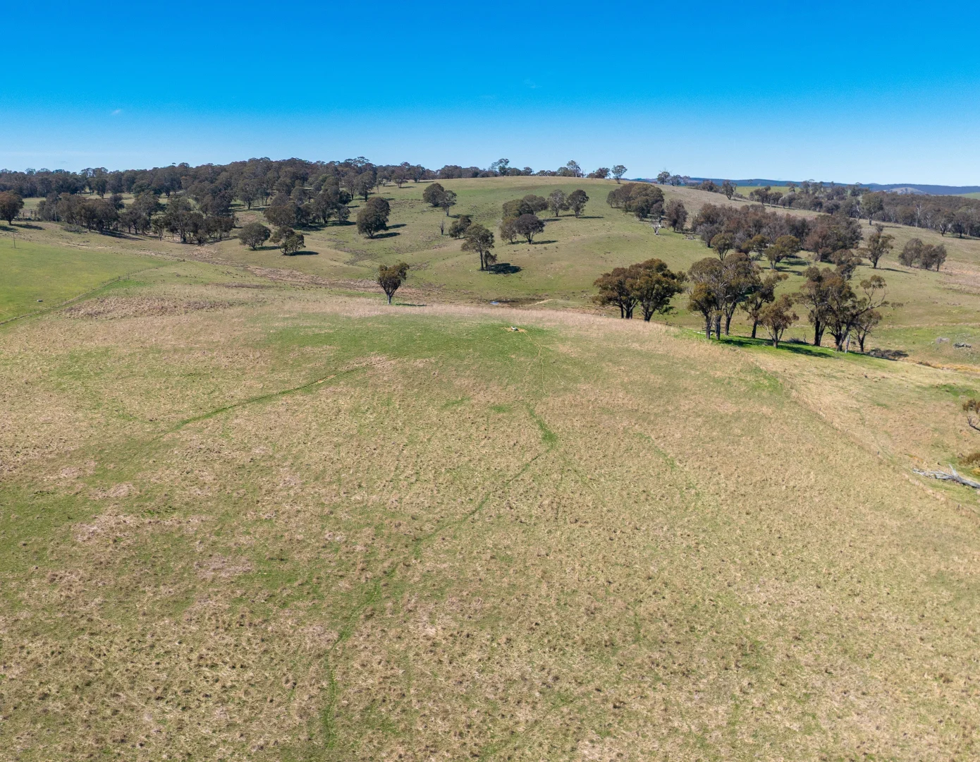 Additional image 27 of 5353 Trunkey Road, Trunkey Creek NSW 2795