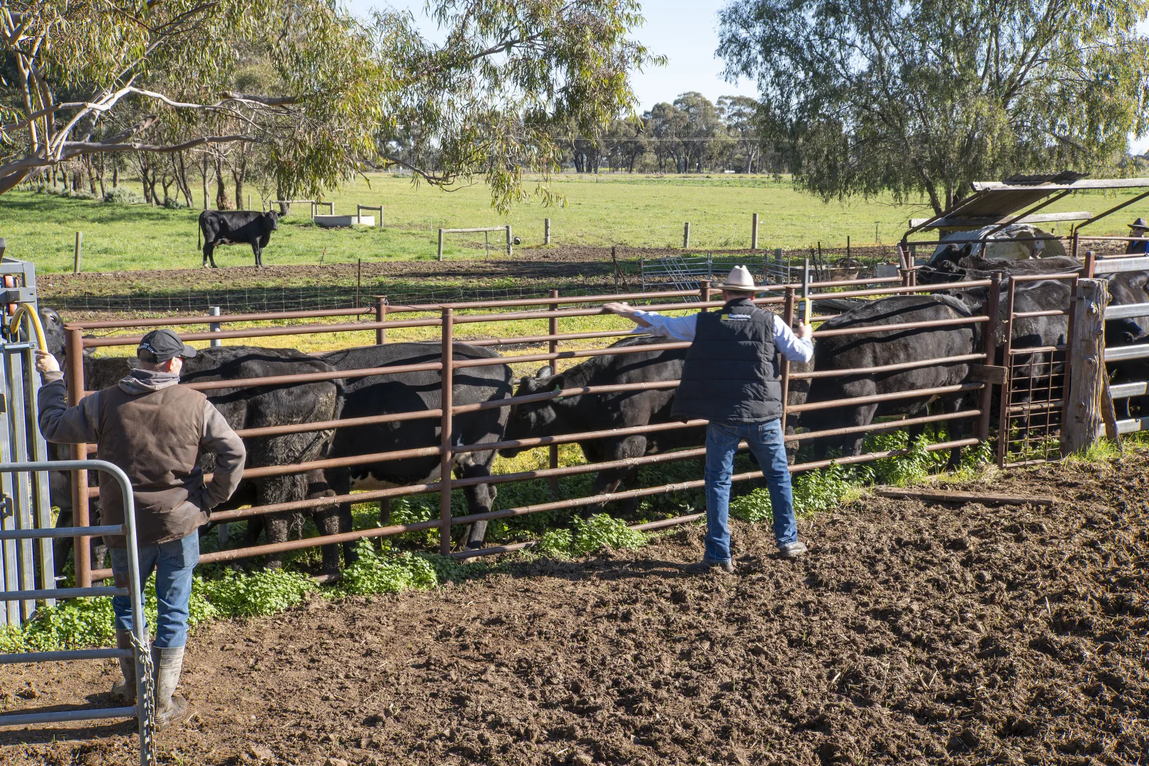 Additional image 23 of 2244 Berrigan Road, Berrigan NSW 2712