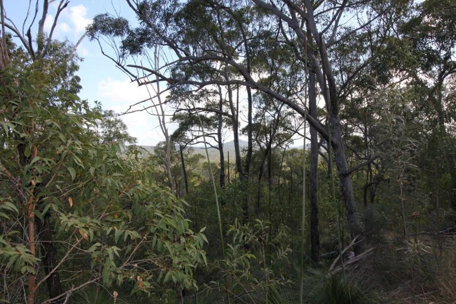 Additional image 34 of 492 Capricornia Drive, Deepwater QLD 4674