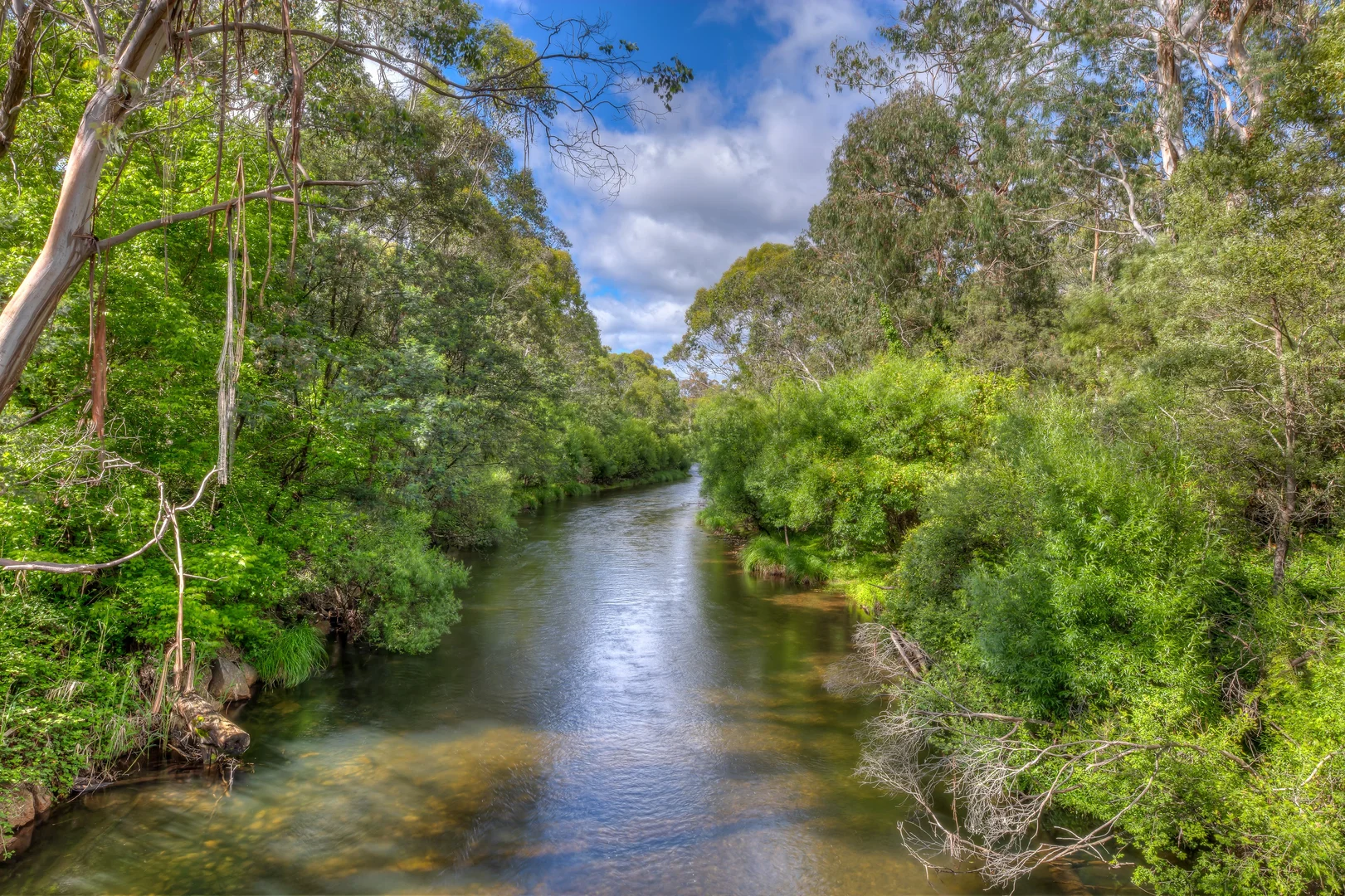 Additional image 25 of 58 Harris Lane, Buckland VIC 3740