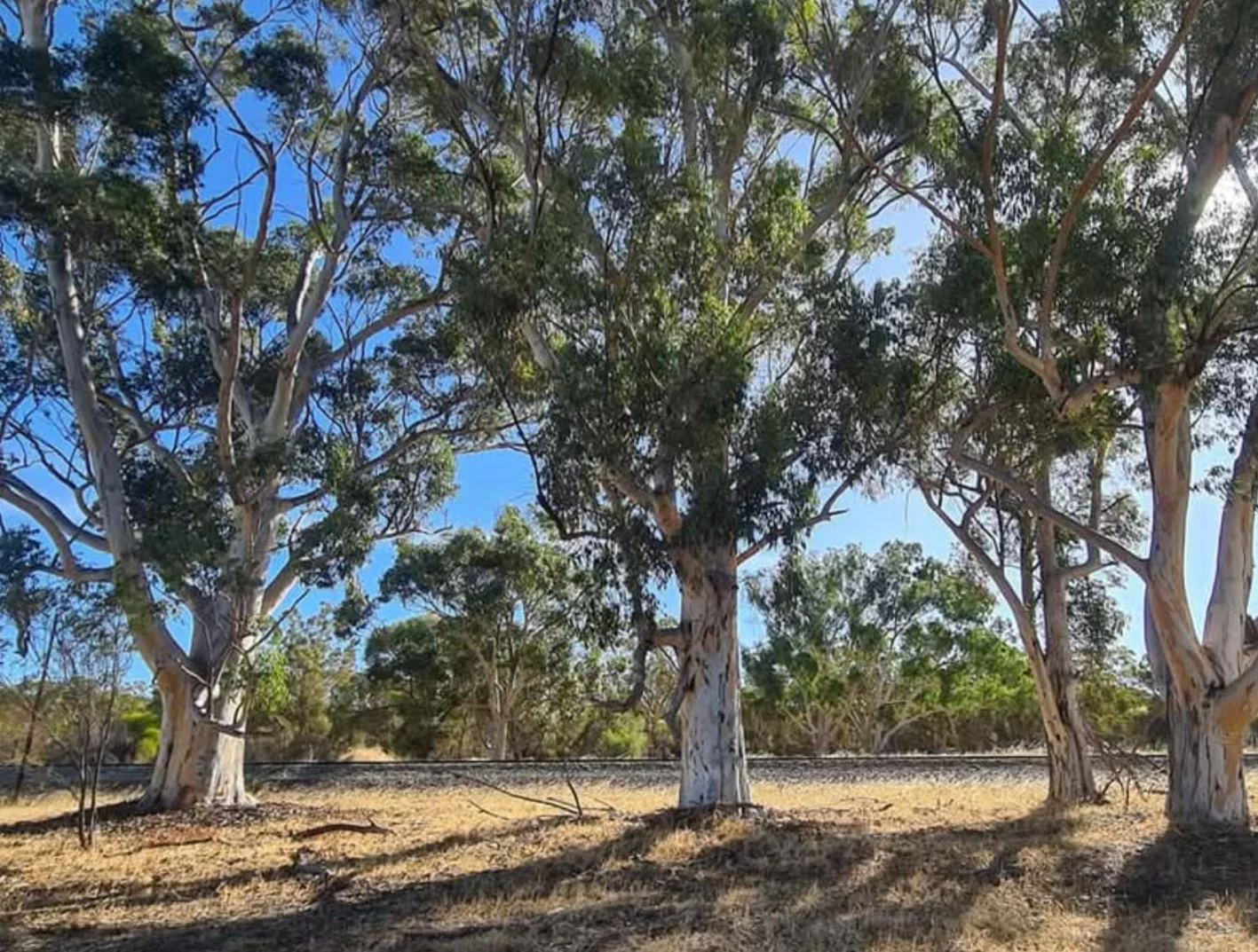 Additional image 3 of Lot/20 Landon Street, Wyening WA 6568