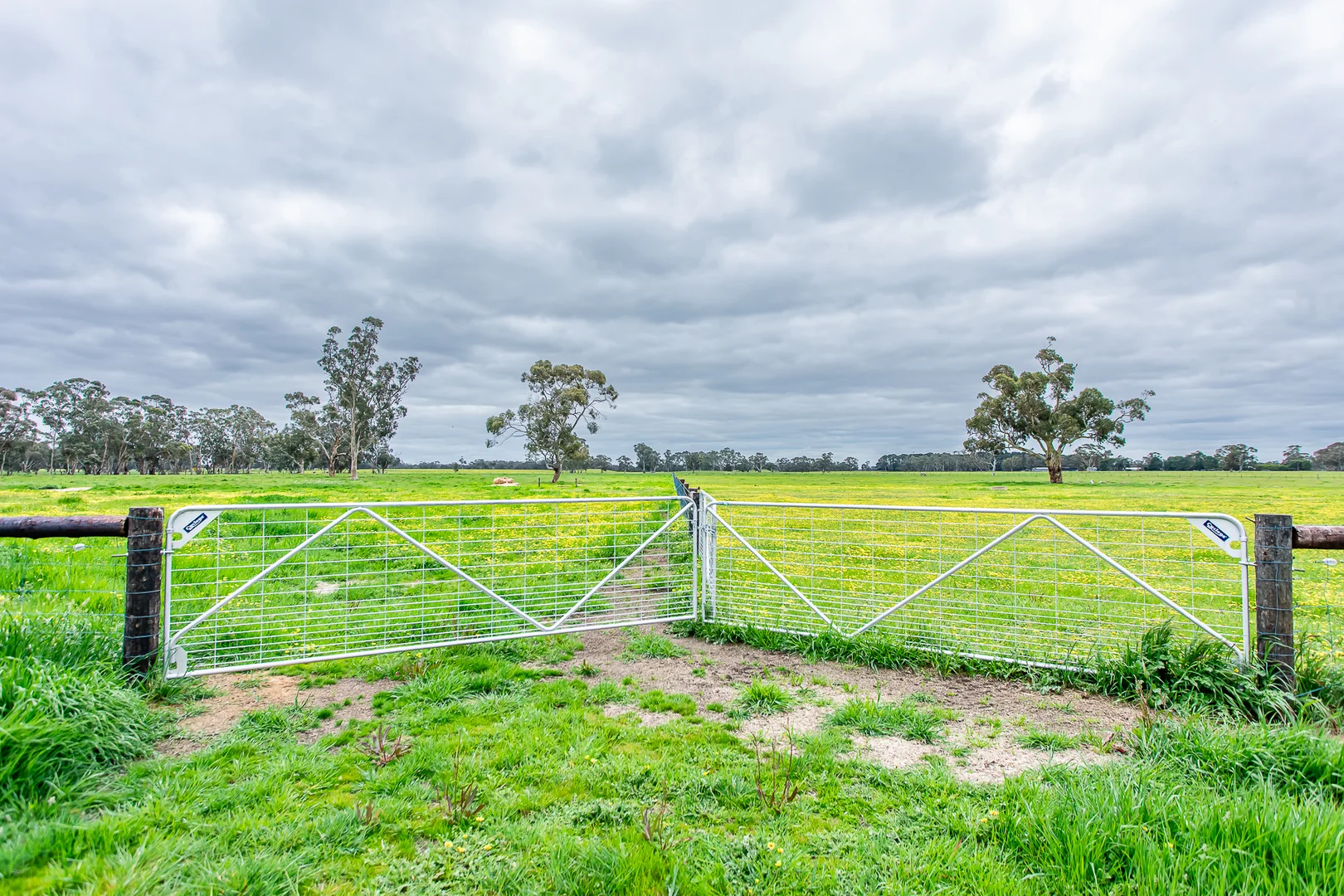 Additional image 10 of 520 Walkington Hills Road, Bangham SA 5268