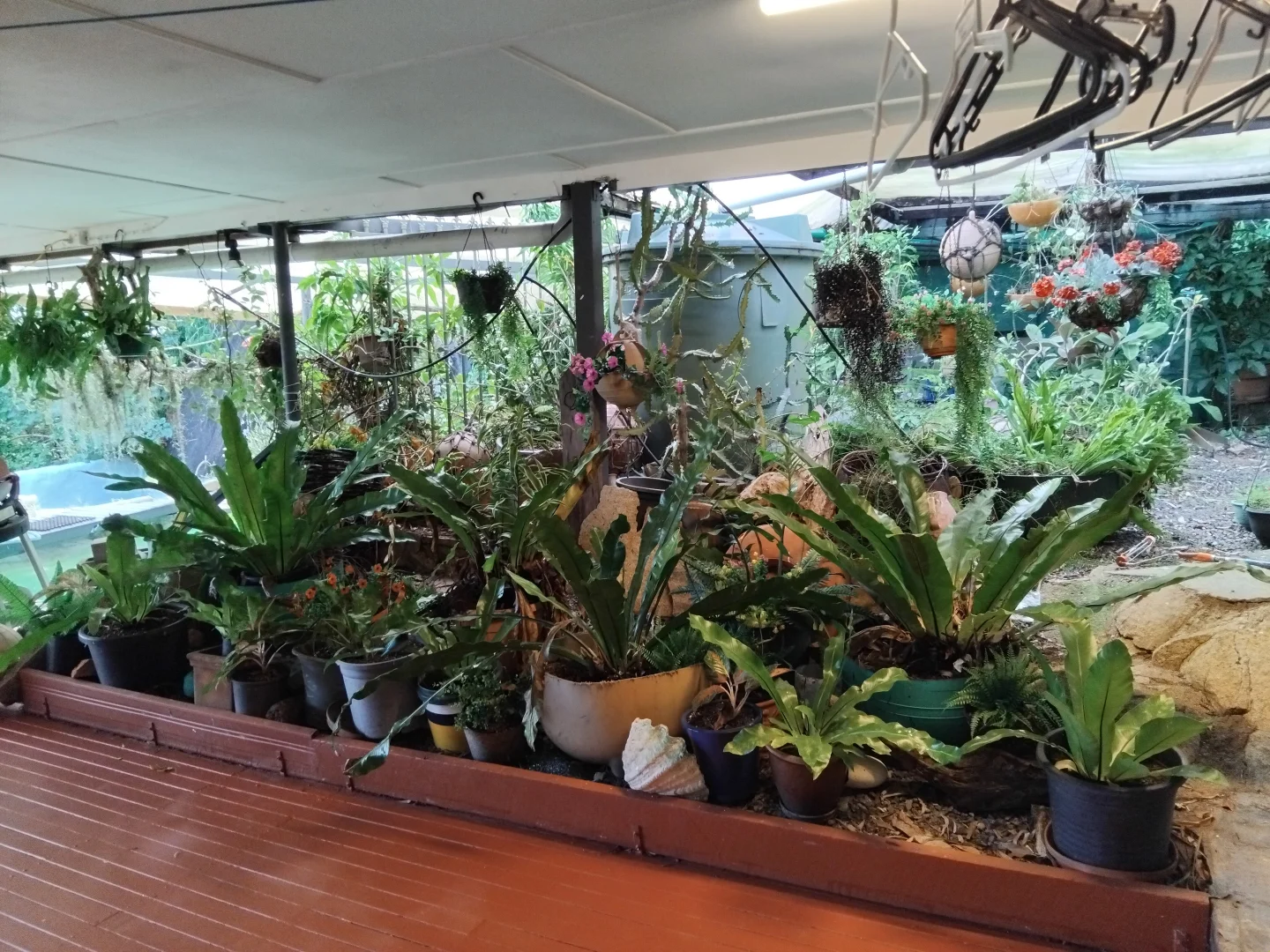 Additional image 29 of Lot 65 Hannam Street, Cooktown QLD 4895