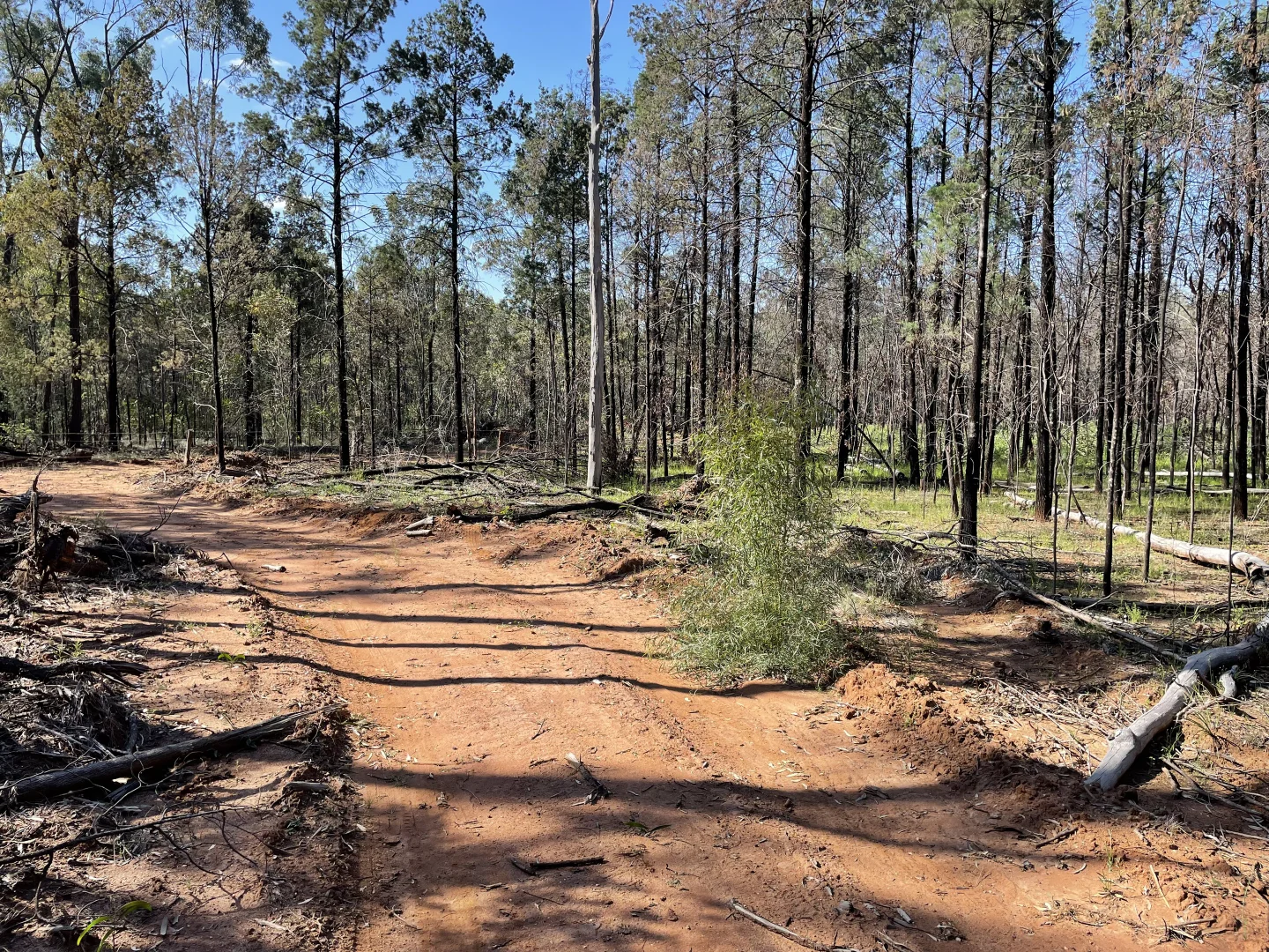 Additional image 3 of 921 Westport Rd, Narrabri NSW 2390