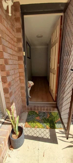 Additional image 3 of 26 Lorebury Drive, Morayfield QLD 4506