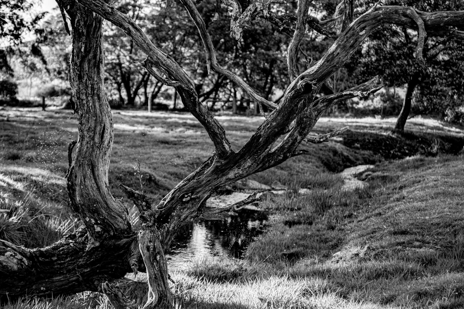 Additional image 40 of 50 Blencowes Lane, Wildes Meadow NSW 2577