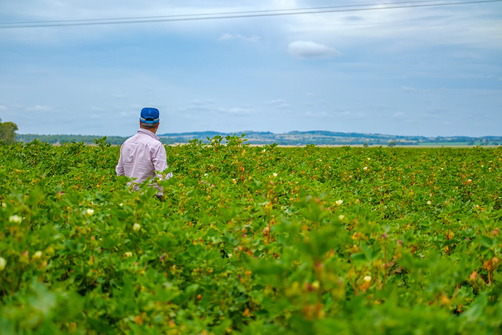 Additional image 2 of 424 Campbells Road, Silverleaf QLD 4605
