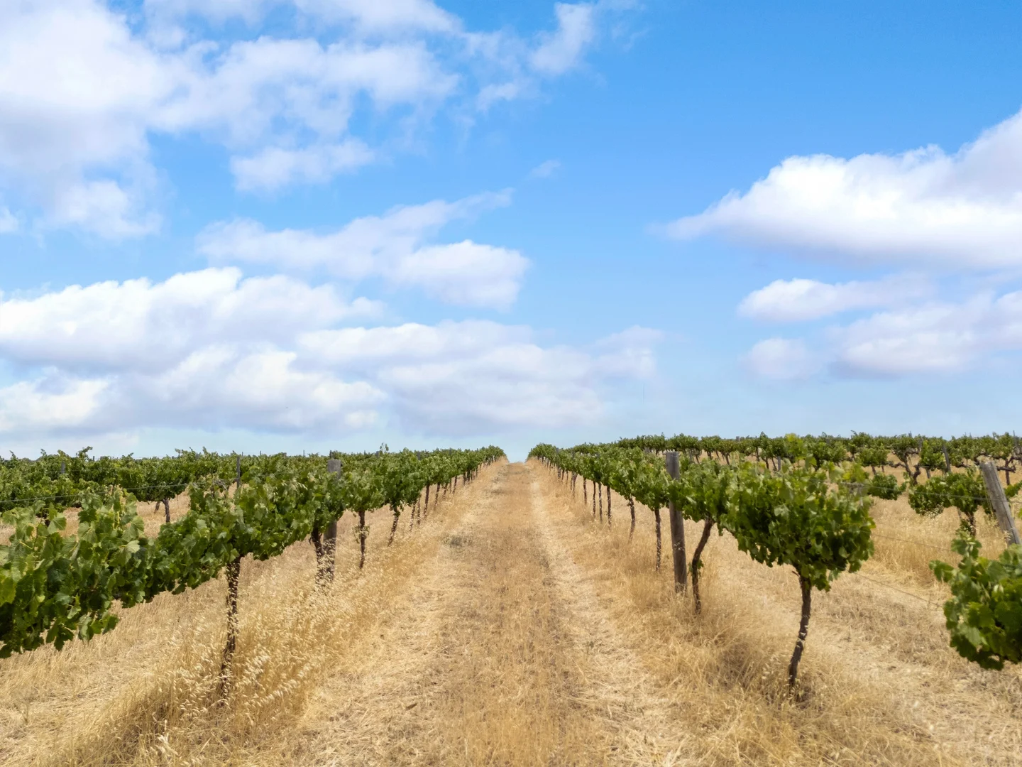 Additional image 11 of Lot 15 Horrocks Highway, Auburn SA 5451