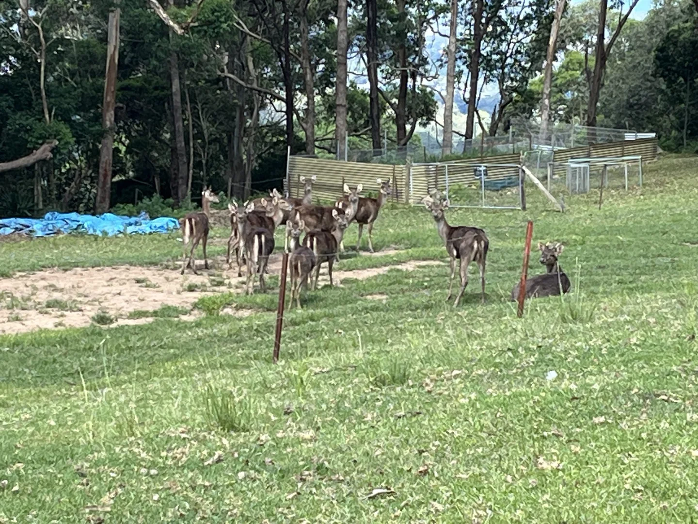 Additional image 16 of 565 Cordeaux Road, Mount Kembla NSW 2526