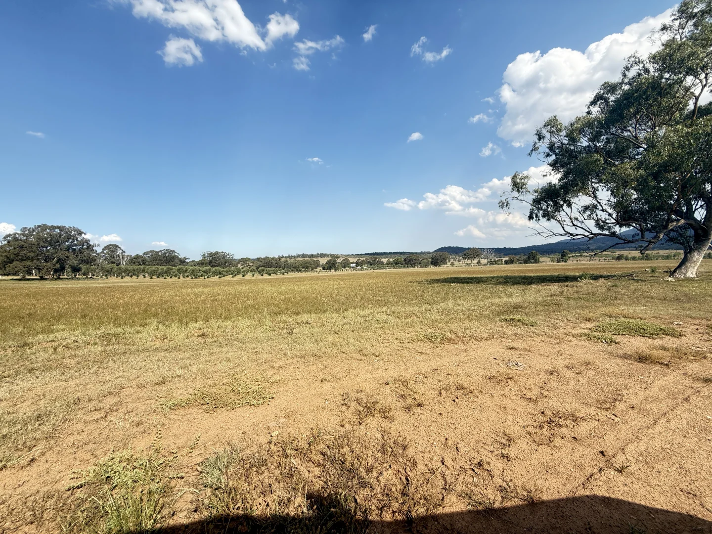 Additional image 55 of 207 Redmanvale Road, Jerrys Plains NSW 2330