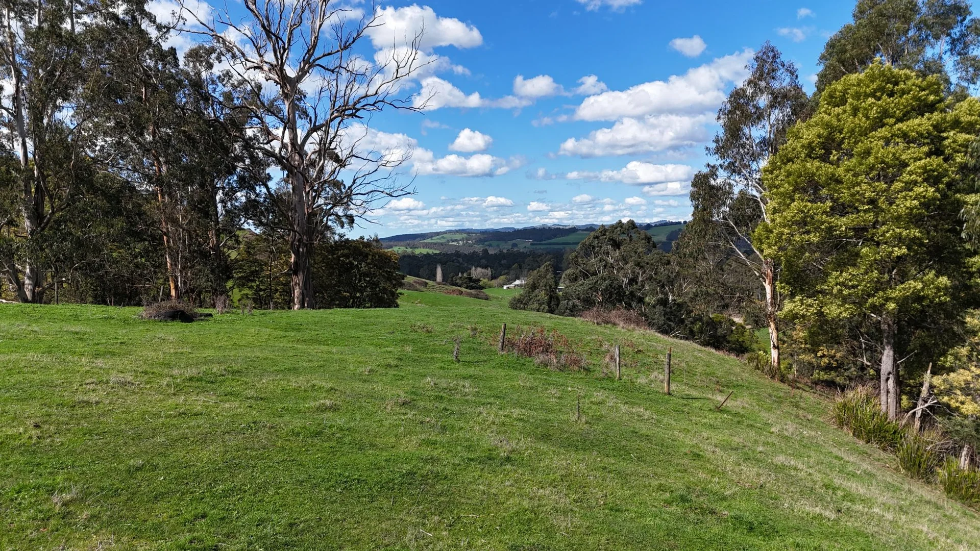 Additional image 9 of 141 BUNDERRA DRIVE, Boolarra VIC 3870