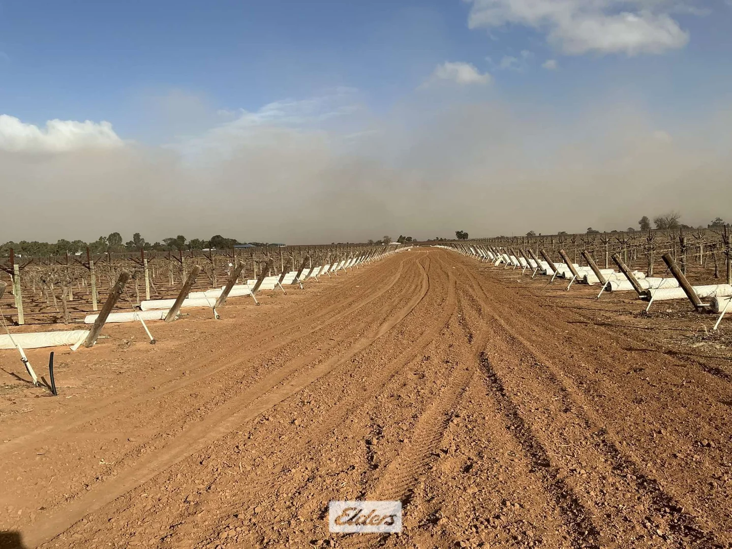 Additional image 13 of 221 & 245 Cowanna Avenue, Merbein South VIC 3505