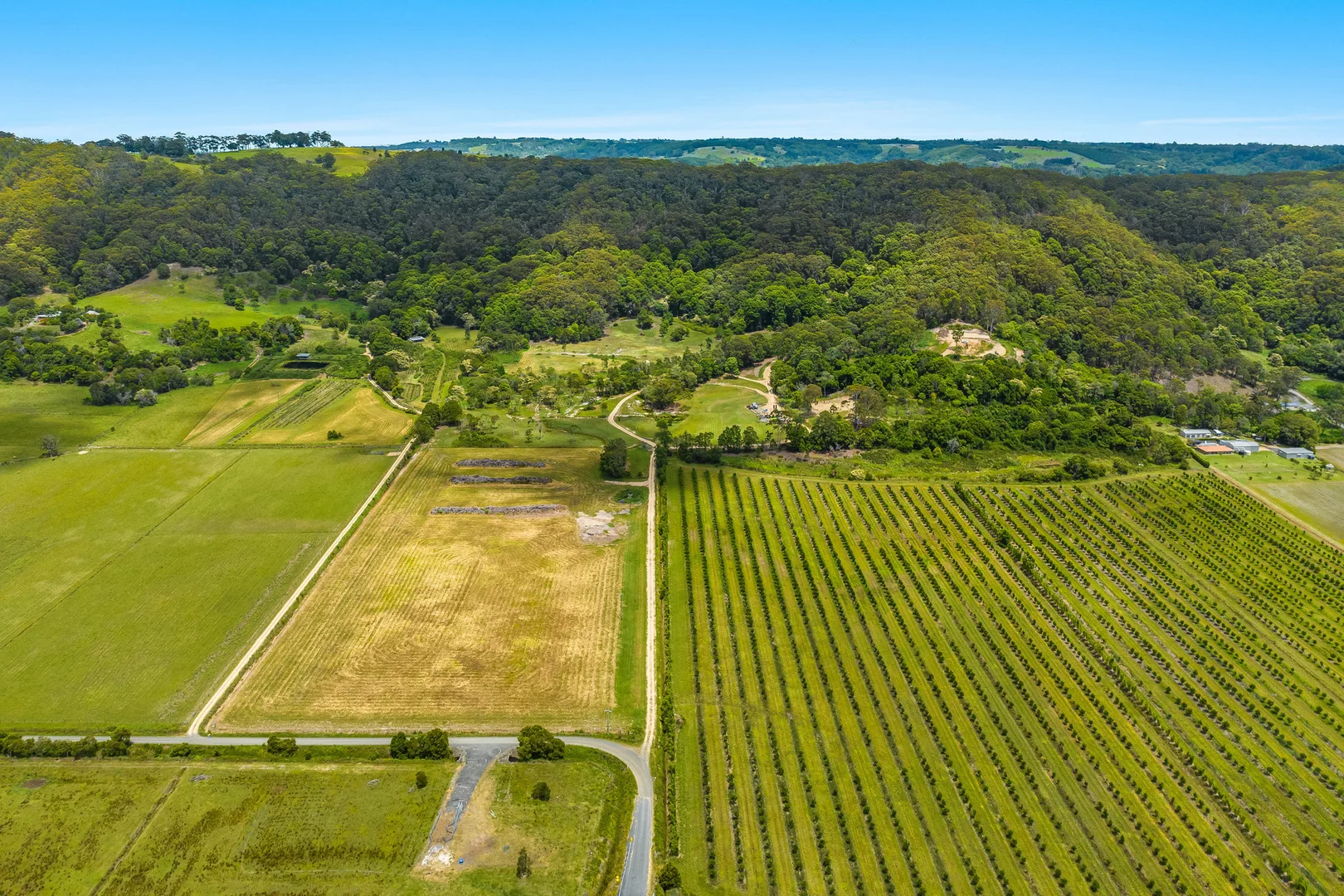 Additional image 7 of 110 Mcandrews Lane, Pimlico NSW 2478