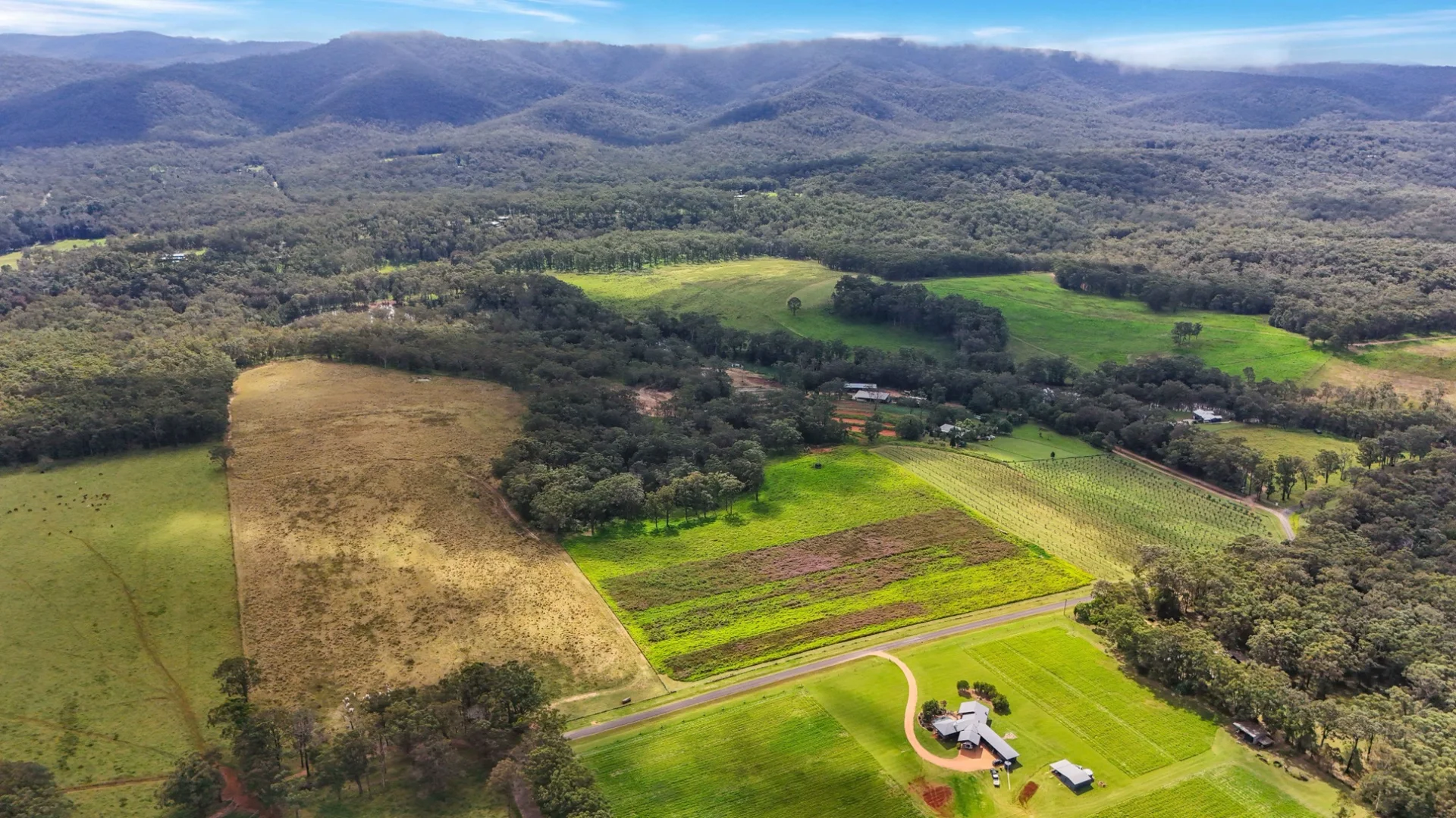 Additional image 61 of Lot 83 Chester Road, Wondecla QLD 4887