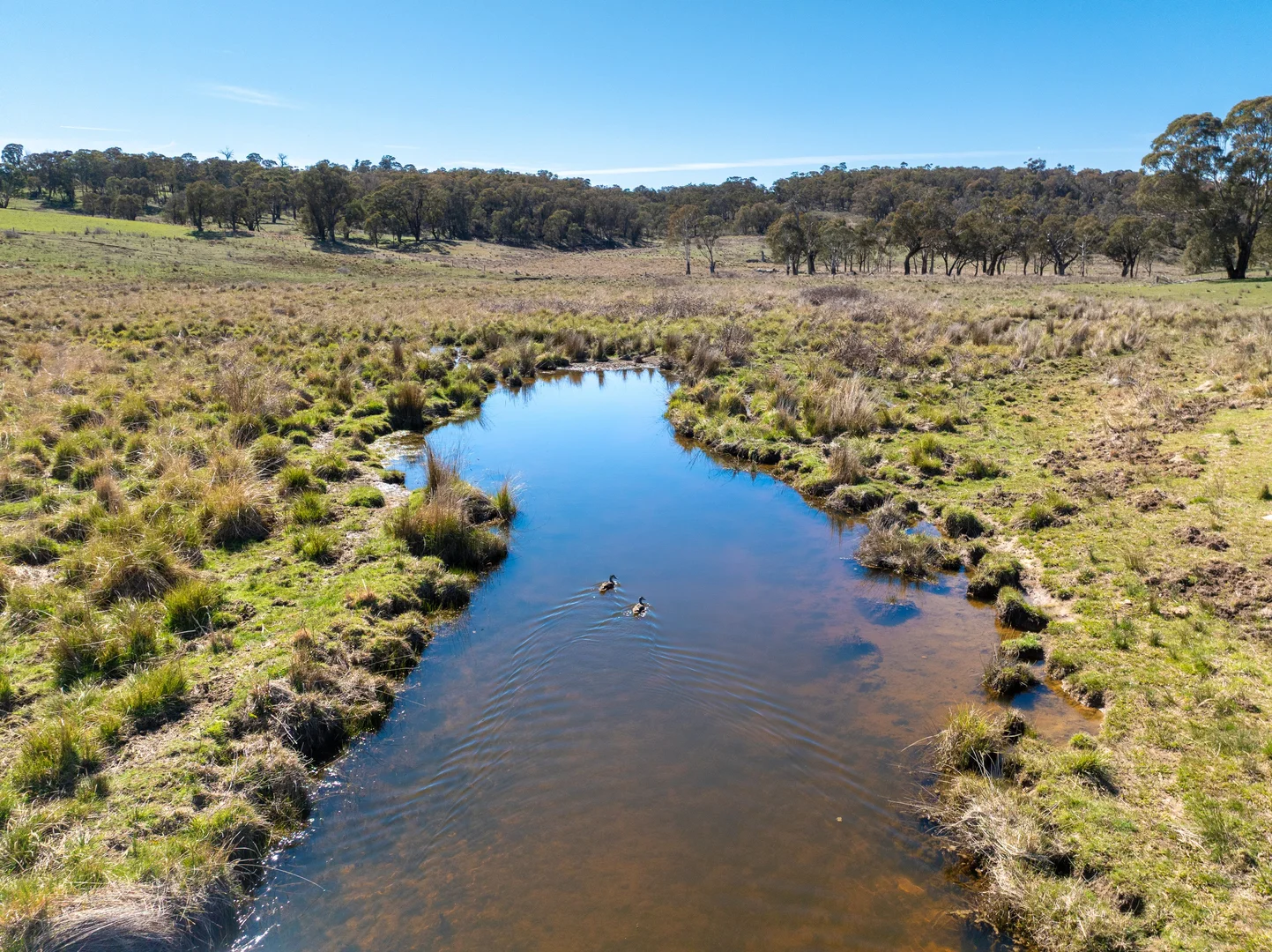 Additional image 4 of 5353 Trunkey Road, Trunkey Creek NSW 2795