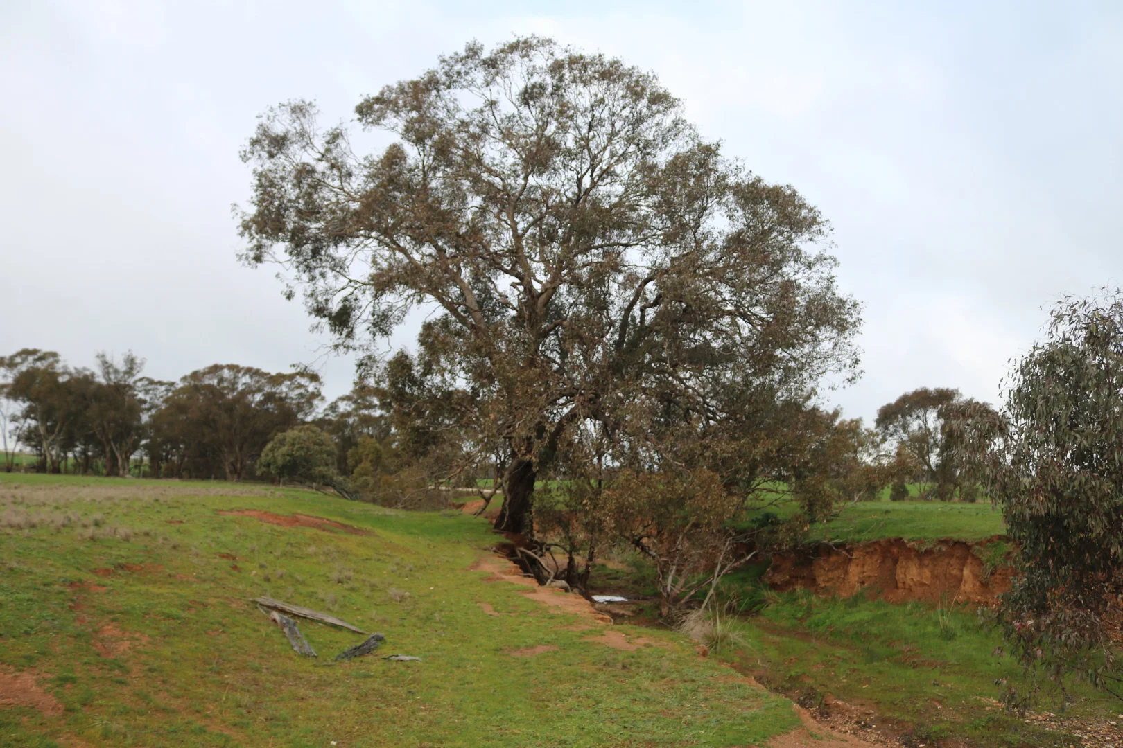 Additional image 7 of Nine Mile-Berrimal Road, Nine Mile VIC 3518