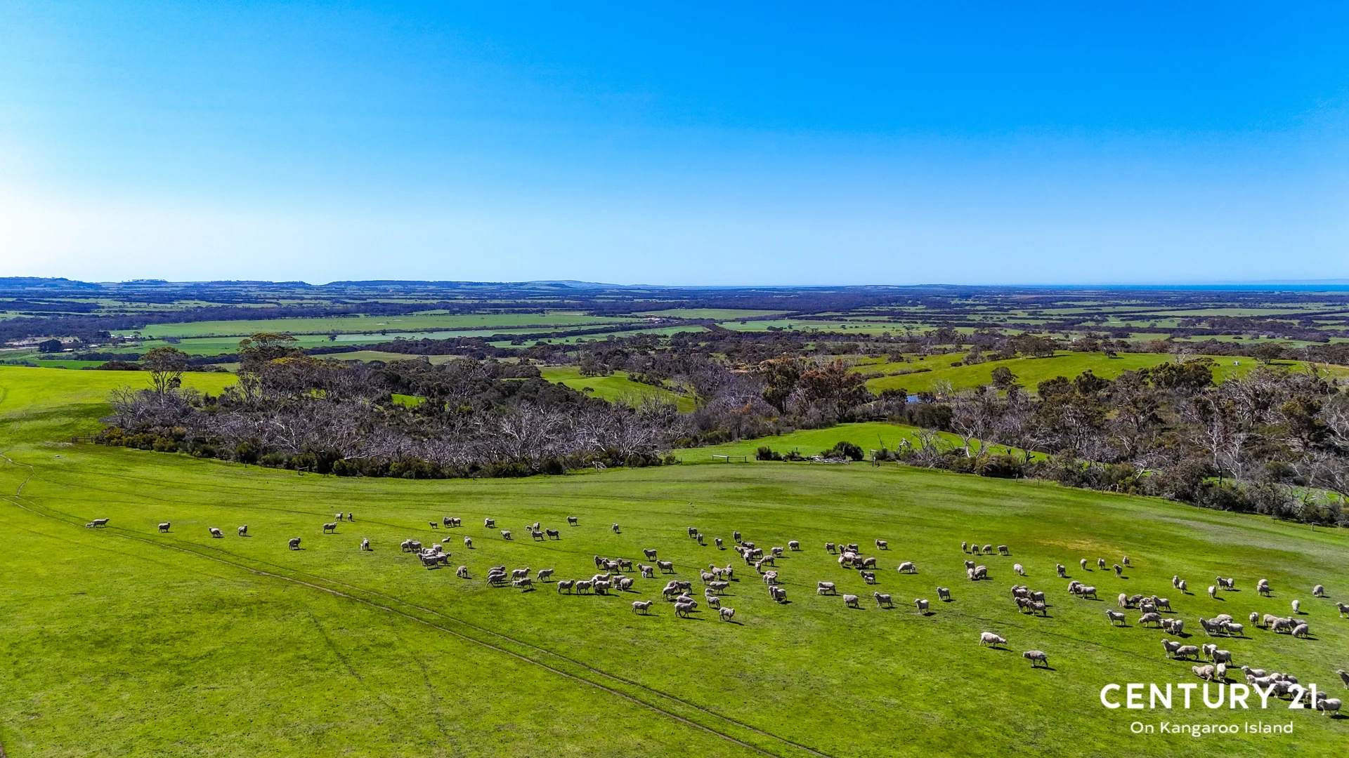 Additional image 22 of 2265 Playford Highway, Kohinoor SA 5223