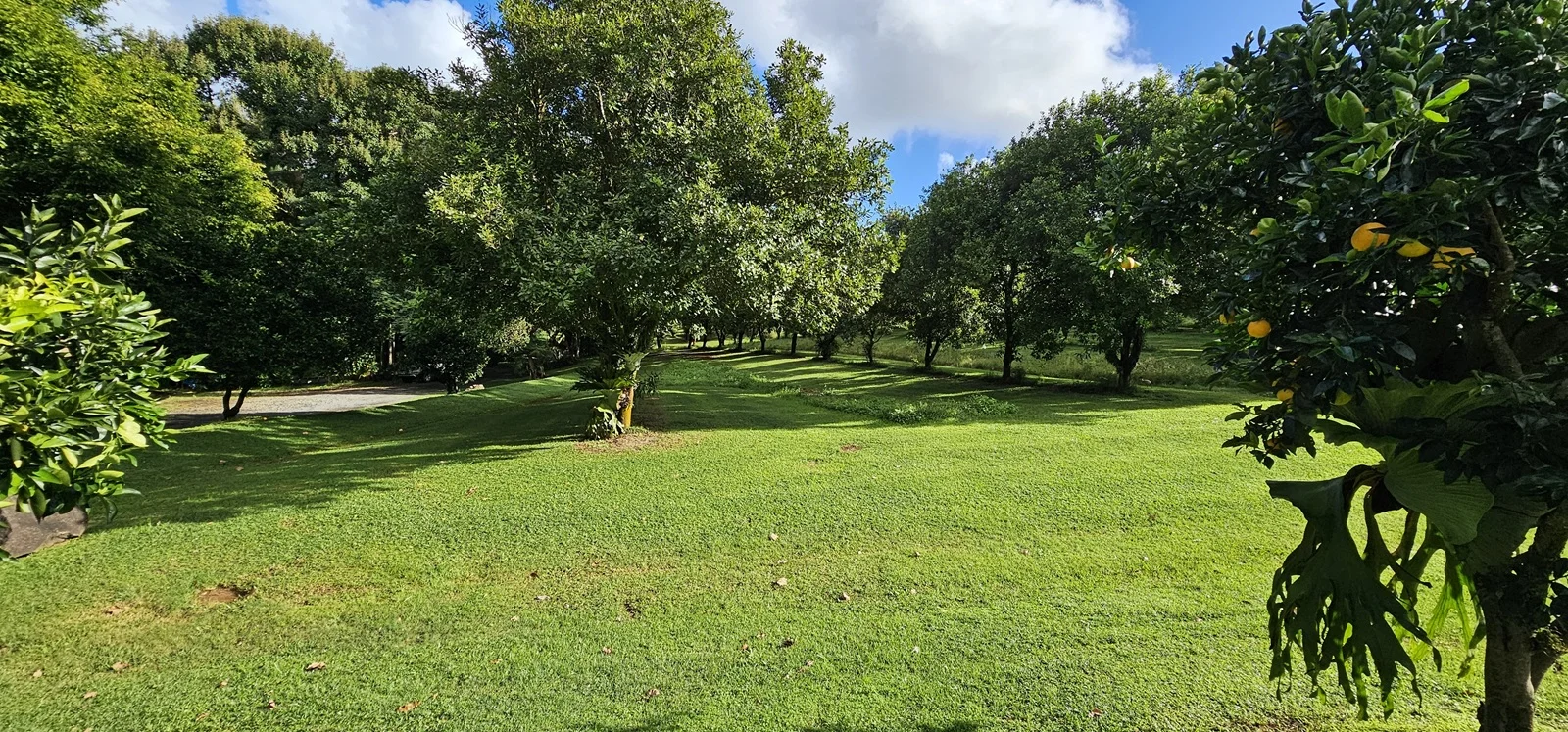 Additional image 12 of 81 Shaws Lane, Alstonville NSW 2477