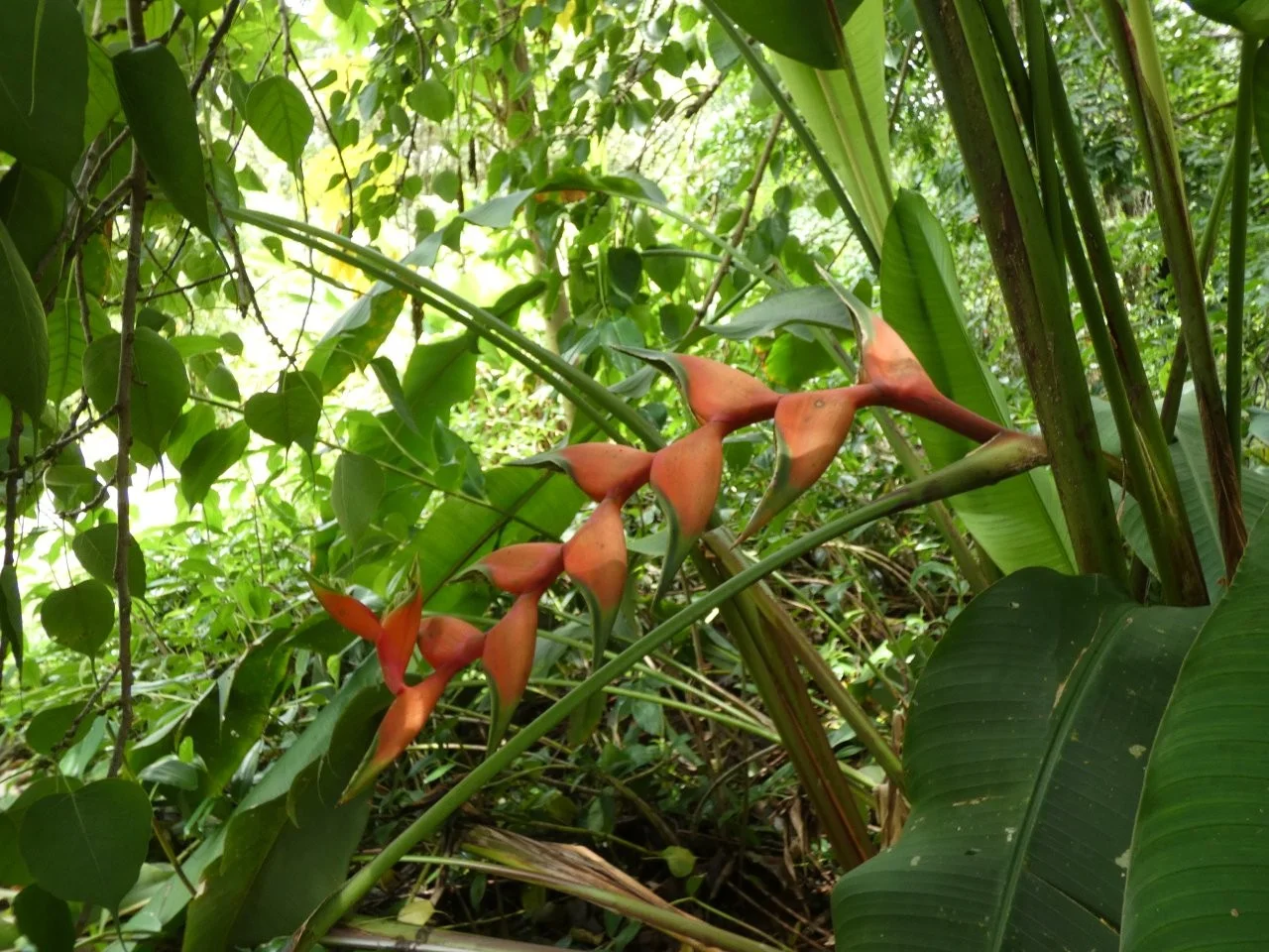 Additional image 26 of Lambells Lagoon NT 0822