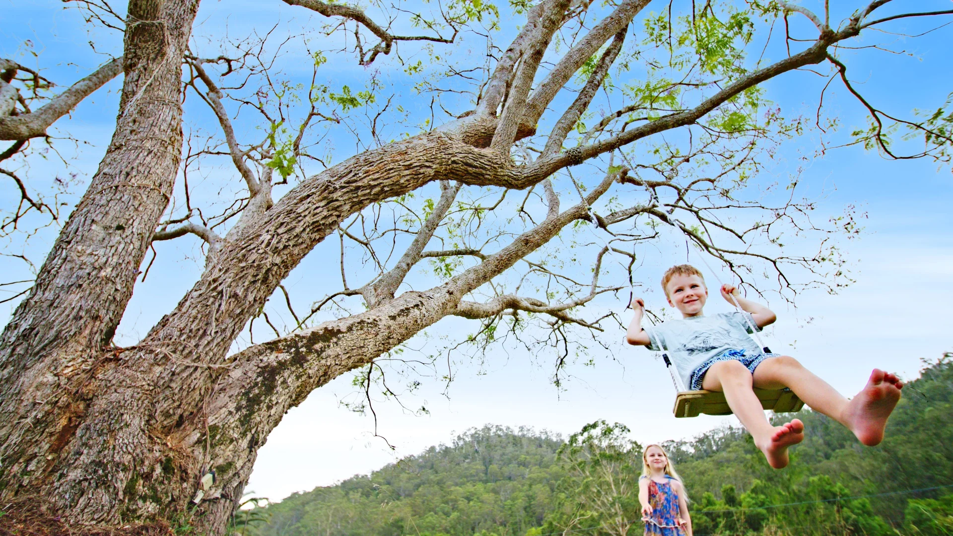Additional image 7 of 2981 Kyogle Road, Kunghur NSW 2484