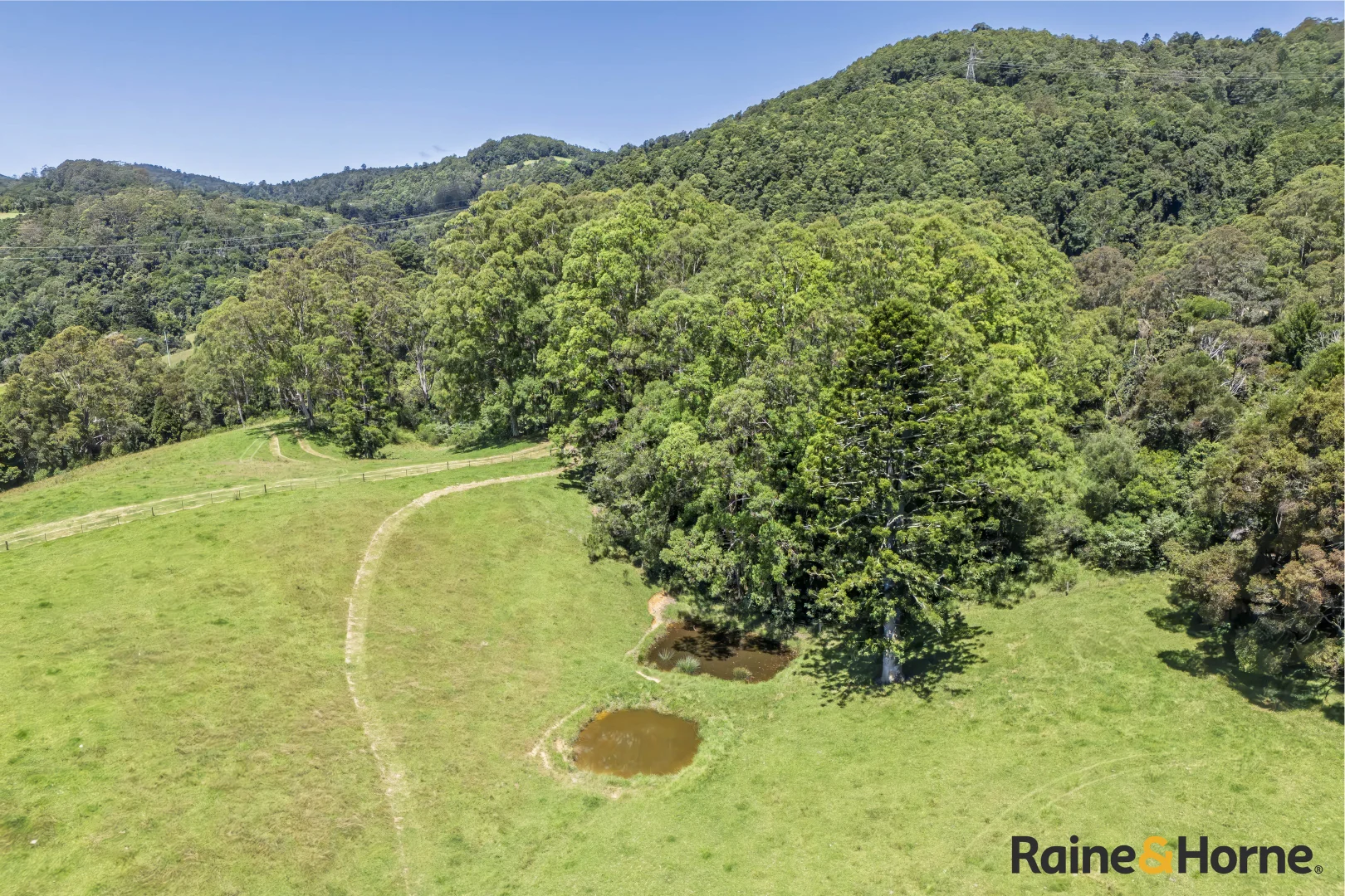 Additional image 13 of 1691 Coramba Road, Megan NSW 2453