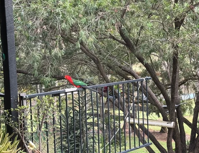 Additional image 34 of 188 Leathers Road, Boolboonda QLD 4671