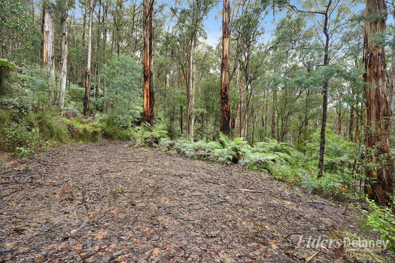 Additional image 17 of 134 Duggan North Road, Fumina VIC 3825