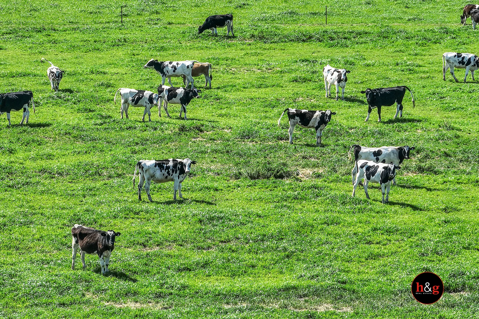 Additional image 22 of 1305 Curr Road, Kyabram VIC 3620