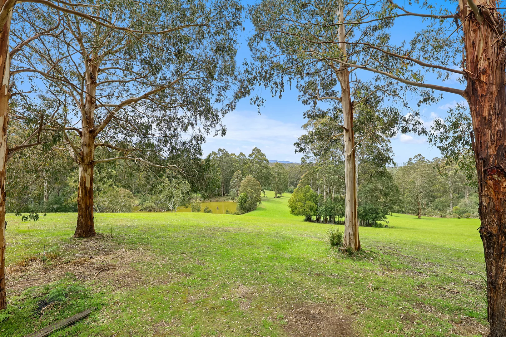 Additional image 14 of 11/2260 Mt Baw Baw Tourist Road, Icy Creek VIC 3833