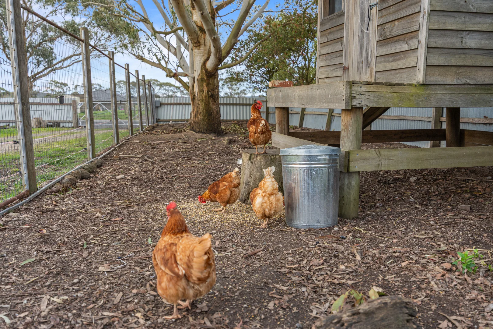 Additional image 28 of 196 Spratlings Road, Ross Creek VIC 3351