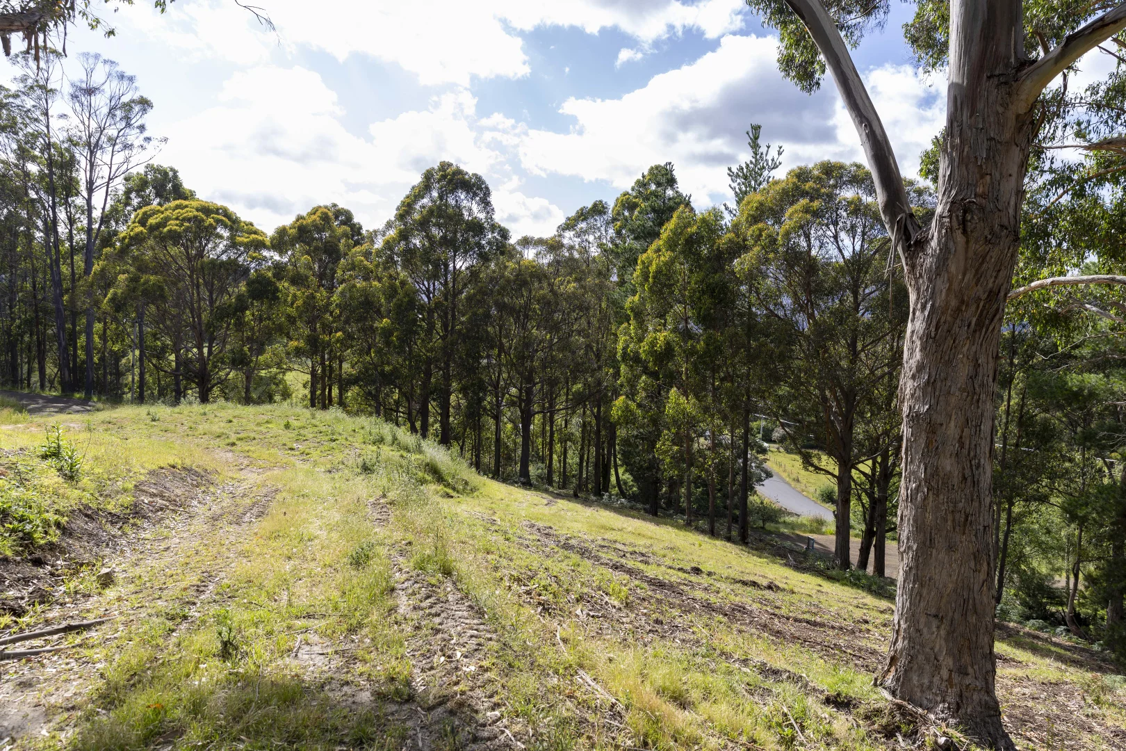 Additional image 6 of Lot 1 Daytons Drive, Ranelagh TAS 7109